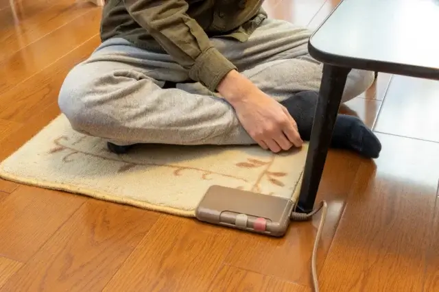 ホットカーペットの処分を不用品回収業者に頼んだほうがいいのはどんなとき?